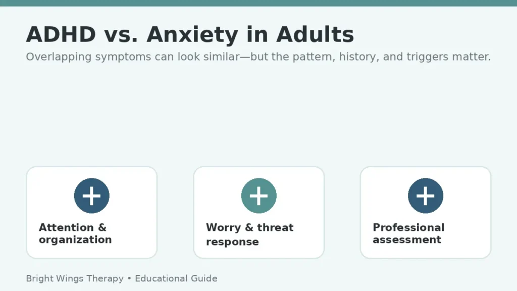 Adult comparing ADHD and anxiety symptoms before seeking a professional assessment